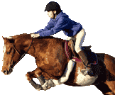 horse jump logo